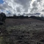 Foto de Finca rústica en Malpica de Tajo