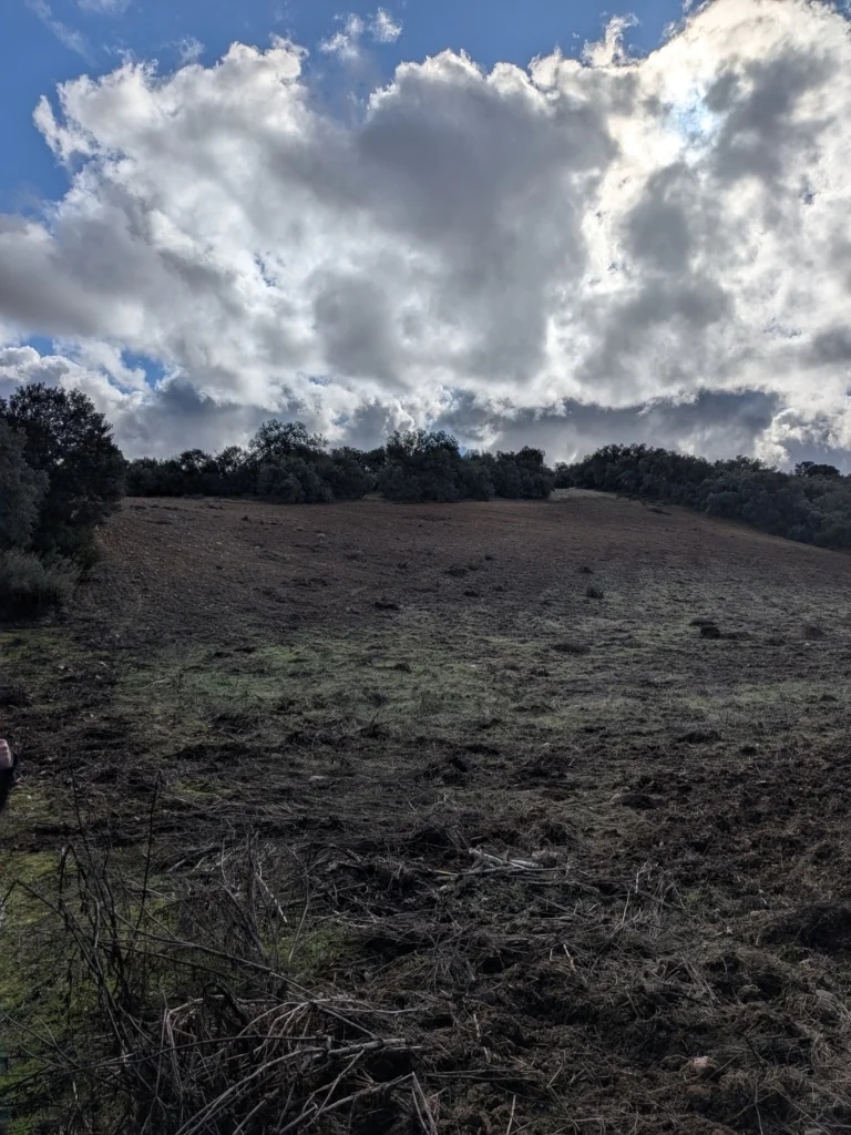 Foto de Finca rústica en Malpica de Tajo