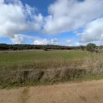 Foto de Finca rústica en Malpica de Tajo