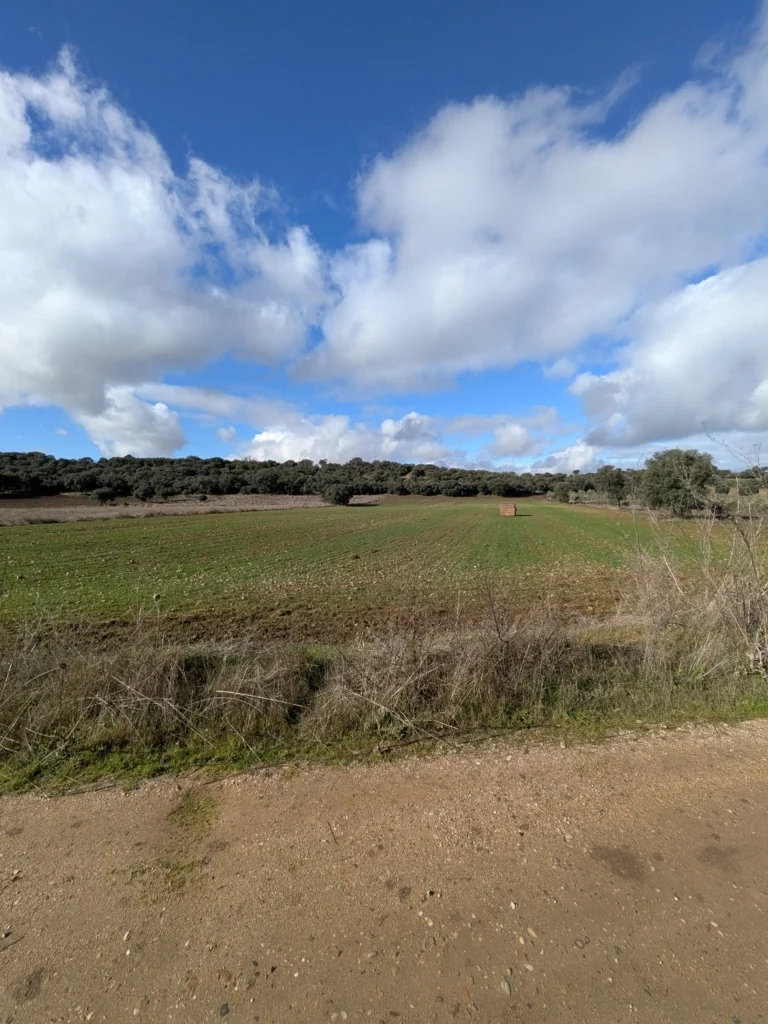 Foto de Finca rústica en Malpica de Tajo