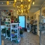 Foto de Local comercial acondicionado en Cebolla