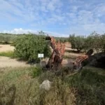 Foto de Finca de Regadío en Cebolla