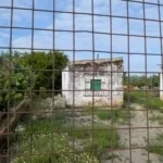Foto de Finca de Regadío en Cebolla