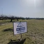 Foto de Finca de Higueras en Cebolla