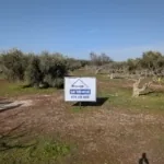 Foto de Finca de Higueras en Cebolla