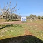 Foto de Finca de Higueras en Cebolla