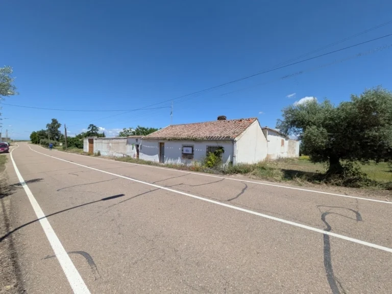 Foto de Labranza y olivar en Erustes